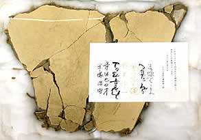 Ryuichi's Curious Collection 2